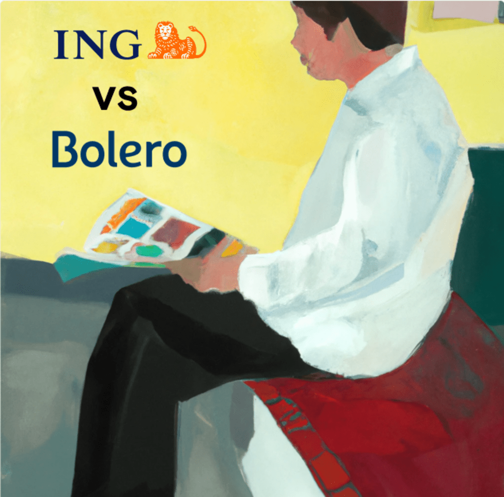 Person sitting down reviewing ING Self Invest and Bolero as brokers